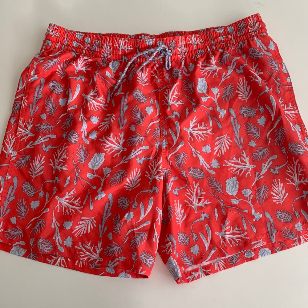 Goodfellow & Co Nautical Swim Trunks